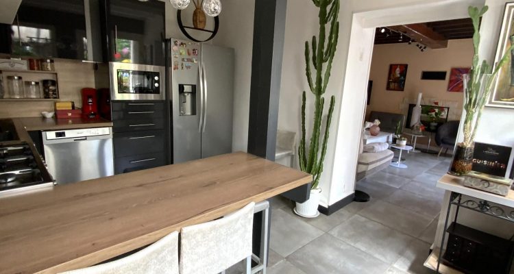 Vente Maison 145 m² à Fareins 560 000 € - Fareins (01480) - 6